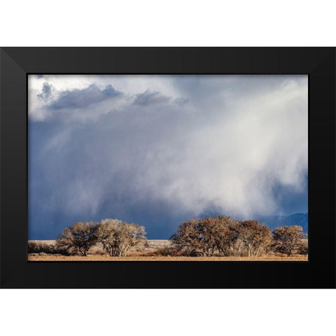 Winter storms in the Manzano mountains-New Mexico Black Modern Wood Framed Art Print by Pryor, Maresa