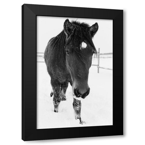 Dakotas first winter-Edgewood-New Mexico Black Modern Wood Framed Art Print with Double Matting by Pryor, Maresa
