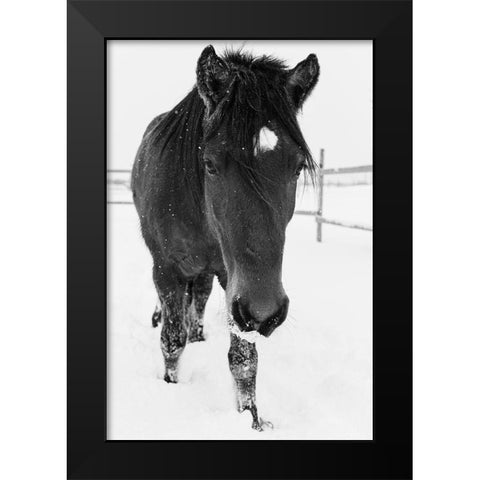 Dakotas first winter-Edgewood-New Mexico Black Modern Wood Framed Art Print by Pryor, Maresa