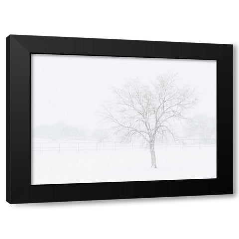 Snowscape in New Mexico Black Modern Wood Framed Art Print by Pryor, Maresa