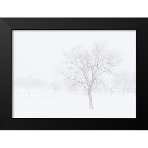 Snowscape in New Mexico Black Modern Wood Framed Art Print by Pryor, Maresa