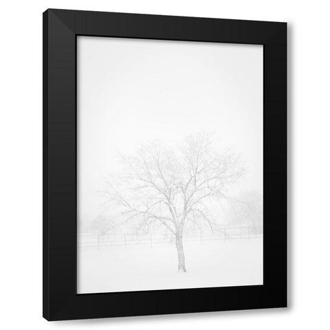Snowscape in New Mexico Black Modern Wood Framed Art Print with Double Matting by Pryor, Maresa