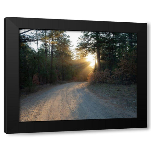 Forest Roads at sunrise-Manzano Mountain Wilderness-Cibola National Forest-New Mexico Black Modern Wood Framed Art Print with Double Matting by Pryor, Maresa