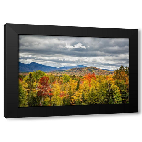 USA-New York-Adirondacks Indian Lake-Fall color at overlook along Route 28 Black Modern Wood Framed Art Print by Collins, Ann