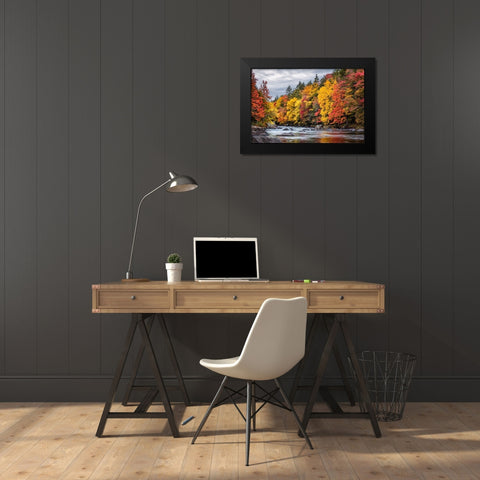 USA-New York-Adirondacks Long Lake-autumn color along the Raquette River Black Modern Wood Framed Art Print by Collins, Ann