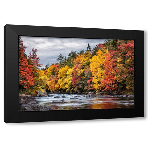 USA-New York-Adirondacks Long Lake-autumn color along the Raquette River Black Modern Wood Framed Art Print with Double Matting by Collins, Ann