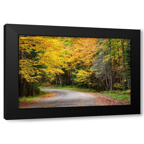 USA-New York-Adirondacks Long Lake-foliage-covered road to Forked Lake Black Modern Wood Framed Art Print by Collins, Ann