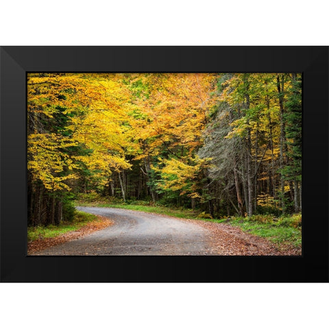 USA-New York-Adirondacks Long Lake-foliage-covered road to Forked Lake Black Modern Wood Framed Art Print by Collins, Ann