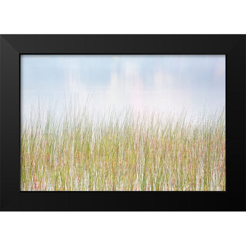 USA-New York-Adirondacks Long Lake-reeds-fog-and reflected fall color at Eaton Lake Black Modern Wood Framed Art Print by Collins, Ann