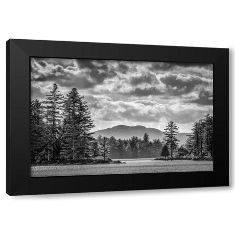 USA-New York-Adirondacks Long Lake-late afternoon at Forked Lake Black Modern Wood Framed Art Print by Collins, Ann