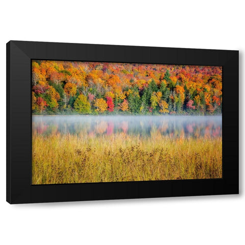 USA-New York-Adirondacks Lake Placid-morning sun at Connery Pond Black Modern Wood Framed Art Print by Collins, Ann