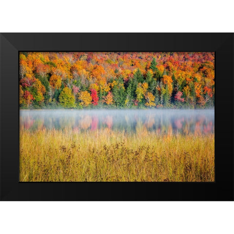 USA-New York-Adirondacks Lake Placid-morning sun at Connery Pond Black Modern Wood Framed Art Print by Collins, Ann