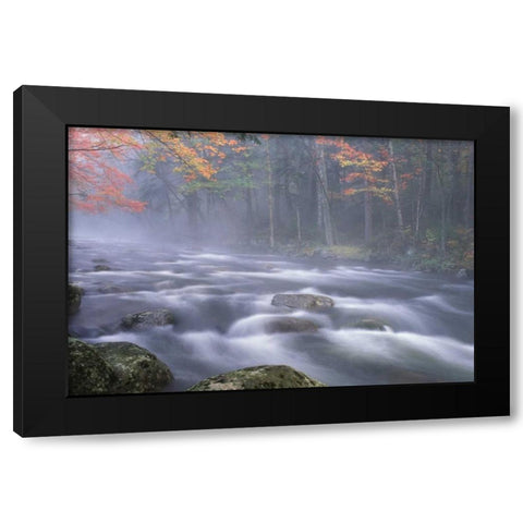 NY, Adirondacks, Big Moose River rapids in Fall Black Modern Wood Framed Art Print with Double Matting by Rotenberg, Nancy