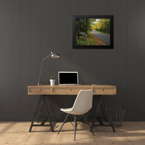 NY, Adirondack Mts Autumn trees line road Black Modern Wood Framed Art Print by Terrill, Steve