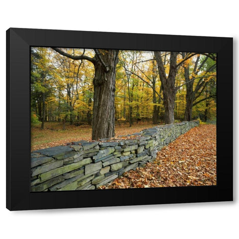 New York, Greene County Hand-built stone fence Black Modern Wood Framed Art Print by Terrill, Steve