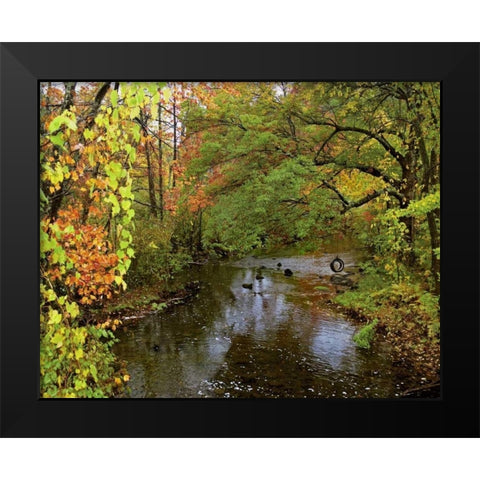 New York Tire swing hangs over Brant Creek Black Modern Wood Framed Art Print by Terrill, Steve