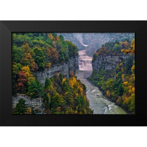 NY, Letchworth SP River and waterfall in canyon Black Modern Wood Framed Art Print by OBrien, Jay