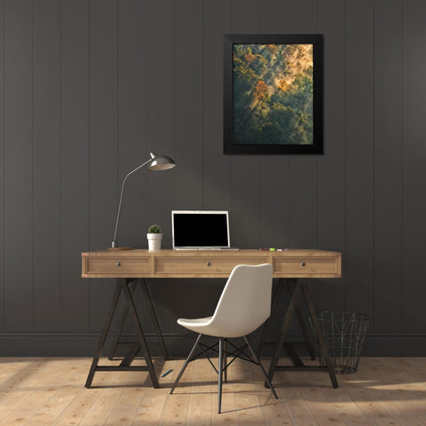 NY, Letchworth SP Sunrise lights foggy forest Black Modern Wood Framed Art Print by OBrien, Jay