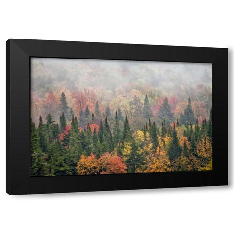 USA, New York, Adirondacks State Park Black Modern Wood Framed Art Print by OBrien, Jay