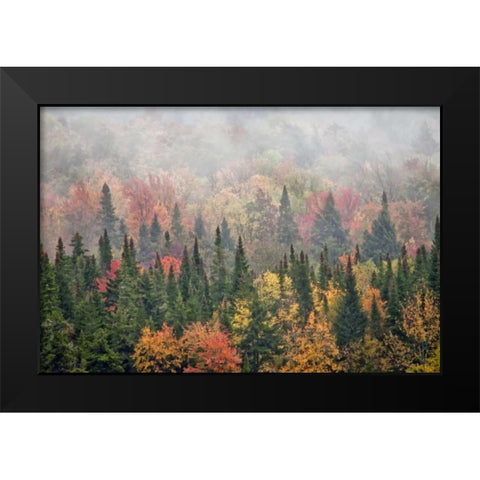 USA, New York, Adirondacks State Park Black Modern Wood Framed Art Print by OBrien, Jay