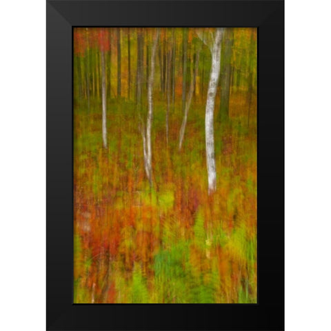 New York, Inlet Abstract of autumn forest scene Black Modern Wood Framed Art Print by OBrien, Jay