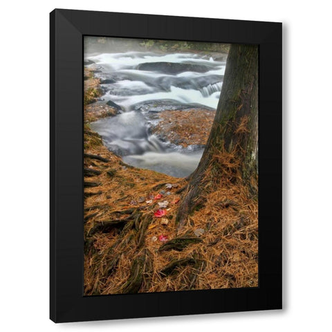 USA, New York, Inlet Mist over rushing stream Black Modern Wood Framed Art Print by OBrien, Jay