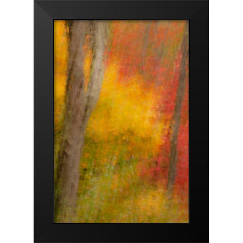 New York, Inlet Abstract of autumn forest scene Black Modern Wood Framed Art Print by OBrien, Jay