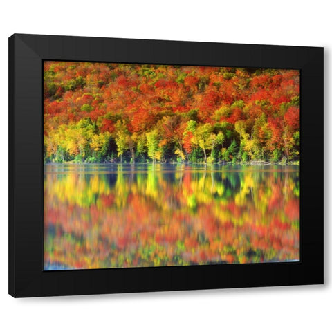 NY, Adirondack Mts Autumn reflects in Heart Lake Black Modern Wood Framed Art Print by Talbot Frank, Christopher