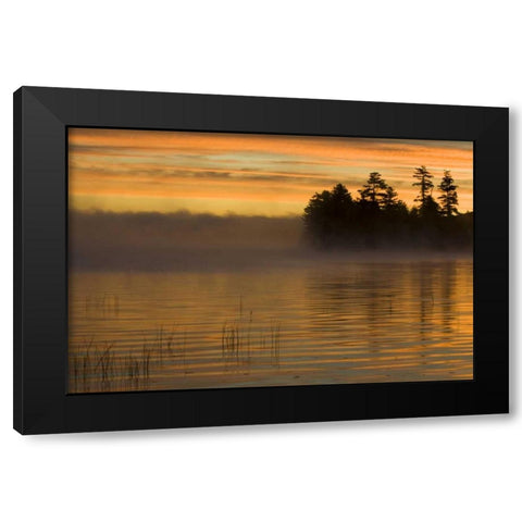 New York, Adirondack Mts Racquette Lake, sunrise Black Modern Wood Framed Art Print by Rotenberg, Nancy