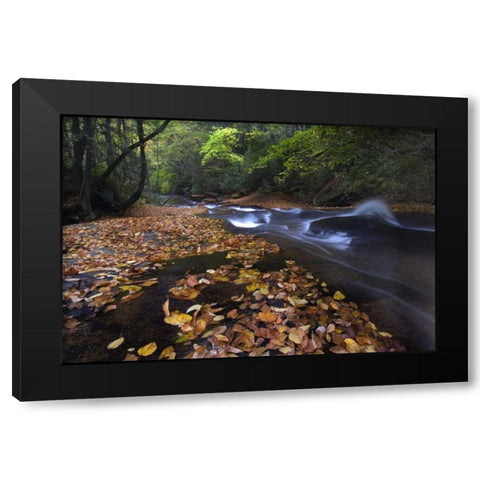 New York, Adirondack Mts Leaves and stream Black Modern Wood Framed Art Print with Double Matting by Rotenberg, Nancy