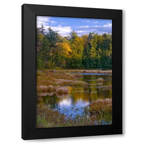 NY, Adirondack Mts Forest reflections in pond Black Modern Wood Framed Art Print by Rotenberg, Nancy