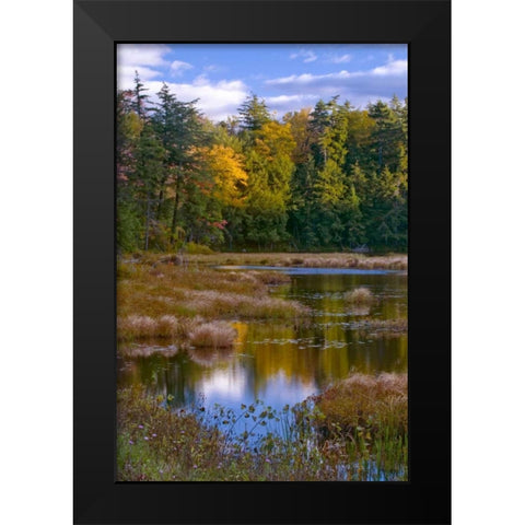 NY, Adirondack Mts Forest reflections in pond Black Modern Wood Framed Art Print by Rotenberg, Nancy