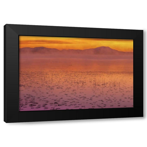 New York, Adirondack Mts Mist on Raquette Lake Black Modern Wood Framed Art Print by OBrien, Jay