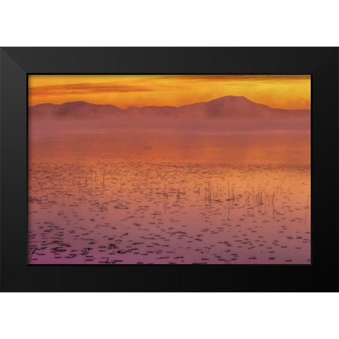 New York, Adirondack Mts Mist on Raquette Lake Black Modern Wood Framed Art Print by OBrien, Jay