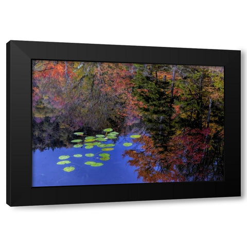 NY, Adirondack Mts Trees reflecting in water Black Modern Wood Framed Art Print by OBrien, Jay