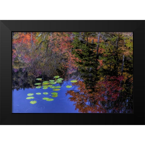 NY, Adirondack Mts Trees reflecting in water Black Modern Wood Framed Art Print by OBrien, Jay