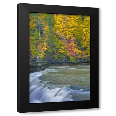 NY, Letchworth SP Waterfall and forest scenic Black Modern Wood Framed Art Print by OBrien, Jay