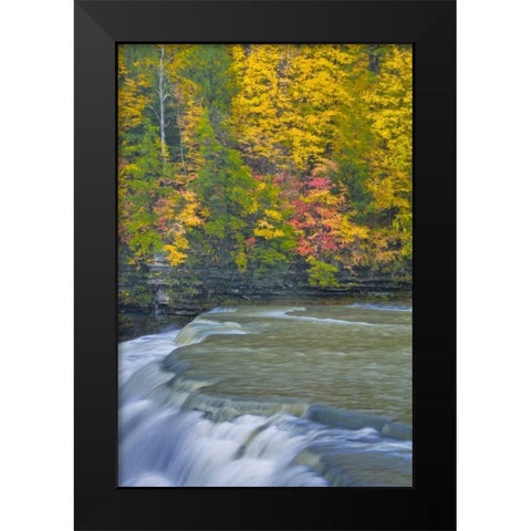 NY, Letchworth SP Waterfall and forest scenic Black Modern Wood Framed Art Print by OBrien, Jay