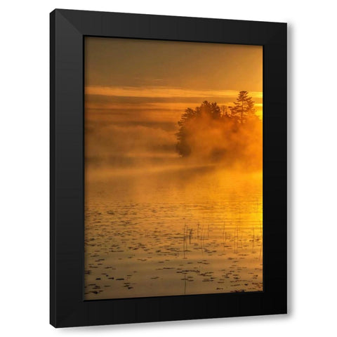 New York, Adirondack Mts Mist on Raquette Lake Black Modern Wood Framed Art Print by OBrien, Jay