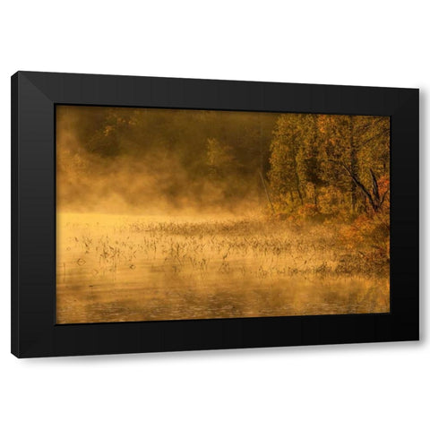 New York, Adirondack Mts Mist on Raquette Lake Black Modern Wood Framed Art Print by OBrien, Jay