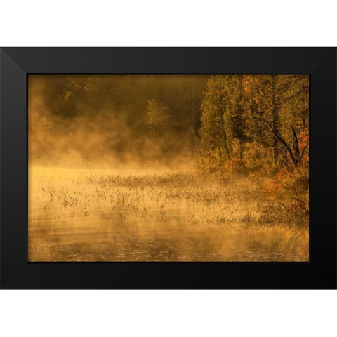 New York, Adirondack Mts Mist on Raquette Lake Black Modern Wood Framed Art Print by OBrien, Jay