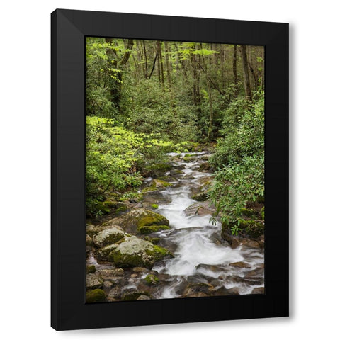 Cascading mountain stream-Great Smoky Mountains National Park-Tennessee-North Carolina Black Modern Wood Framed Art Print with Double Matting by Jones, Adam