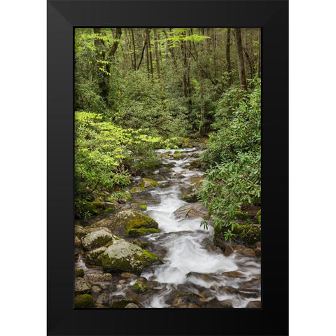 Cascading mountain stream-Great Smoky Mountains National Park-Tennessee-North Carolina Black Modern Wood Framed Art Print by Jones, Adam