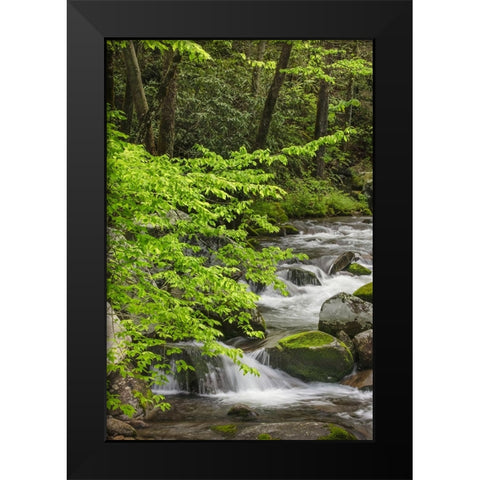 Cascading mountain stream-Great Smoky Mountains National Park-Tennessee-North Carolina Black Modern Wood Framed Art Print by Jones, Adam