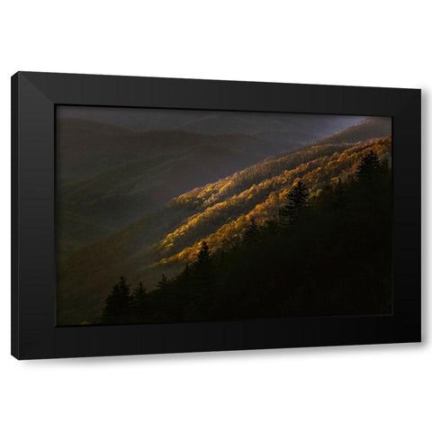 First light morning on early spring trees-Oconaluftee Valley-Great Smoky Mountains National Park Black Modern Wood Framed Art Print with Double Matting by Jones, Adam