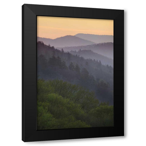 North Carolina Oconaluftee Overlook at sunrise Black Modern Wood Framed Art Print with Double Matting by Flaherty, Dennis