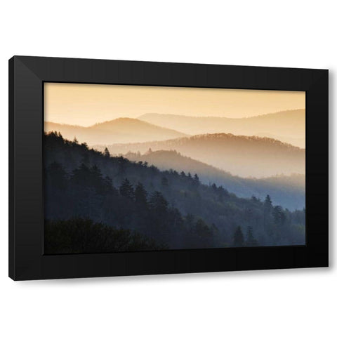 North Carolina Oconaluftee Overlook at sunrise Black Modern Wood Framed Art Print with Double Matting by Flaherty, Dennis