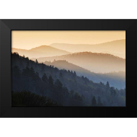 North Carolina Oconaluftee Overlook at sunrise Black Modern Wood Framed Art Print by Flaherty, Dennis