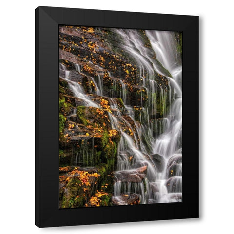 North Carolina, Brevard Waterfall in DuPont SF Black Modern Wood Framed Art Print by OBrien, Jay