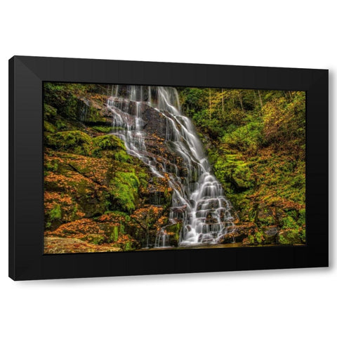 North Carolina, Brevard Waterfall in DuPont SF Black Modern Wood Framed Art Print by OBrien, Jay